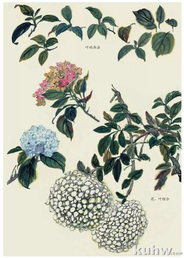 国画技法｜各种花卉的写意画法