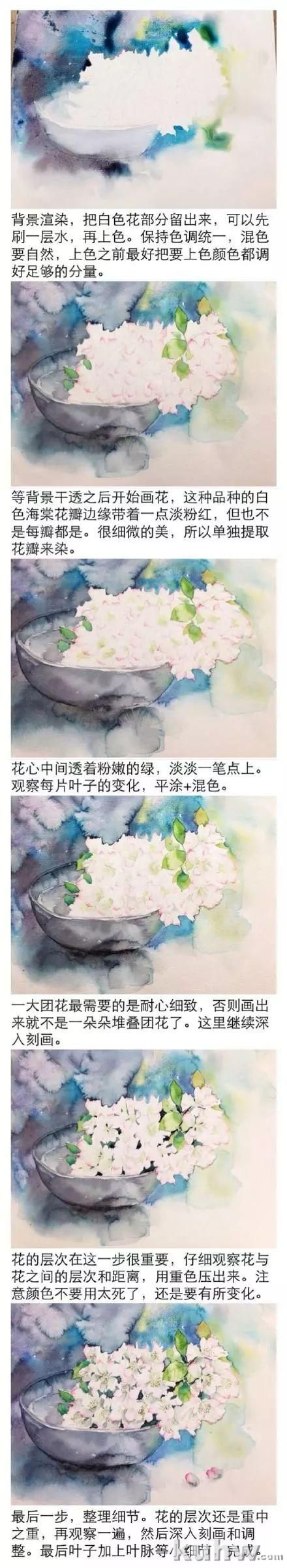 揭秘水彩花卉技法