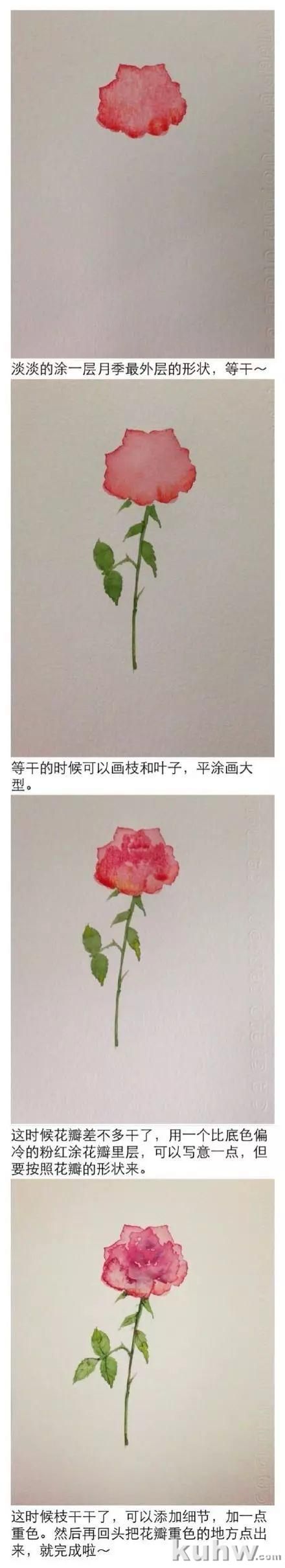 揭秘水彩花卉技法