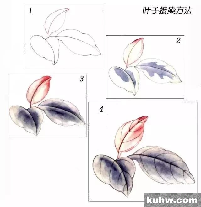 工笔花卉配色与花叶染法