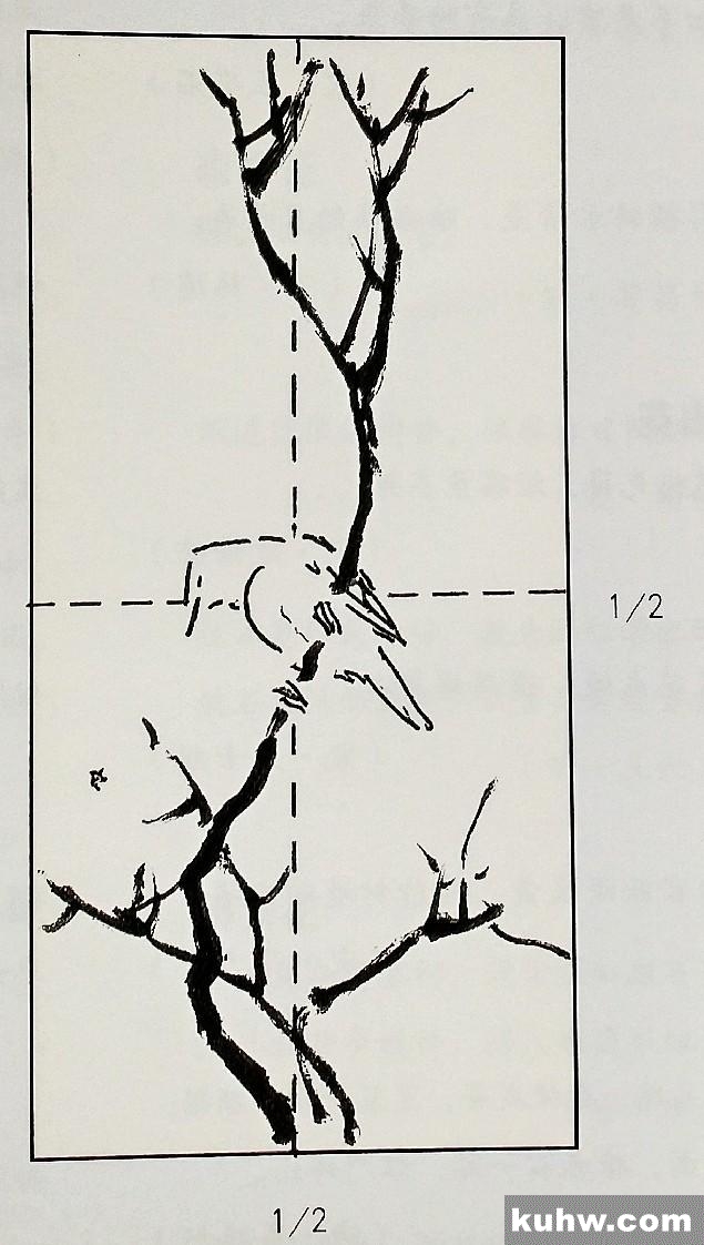 国画基础｜花鸟画的简单构图法