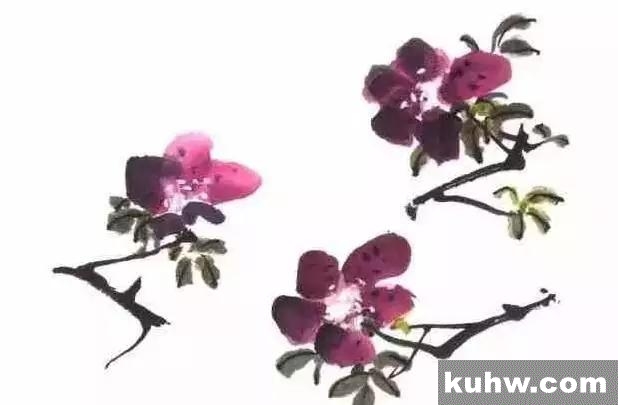 杜鹃花