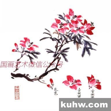 杜鹃花