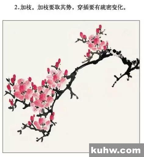 杜鹃花