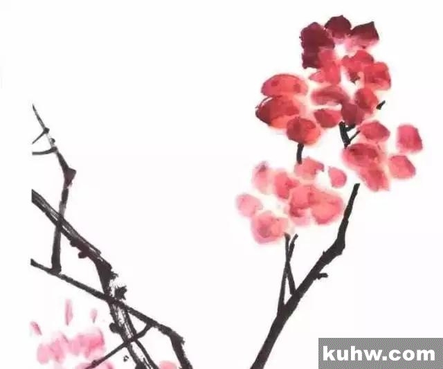 杜鹃花