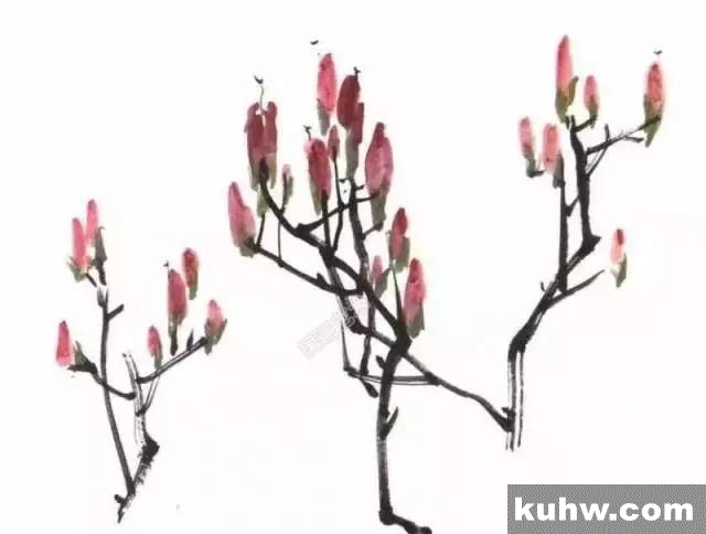 杜鹃花