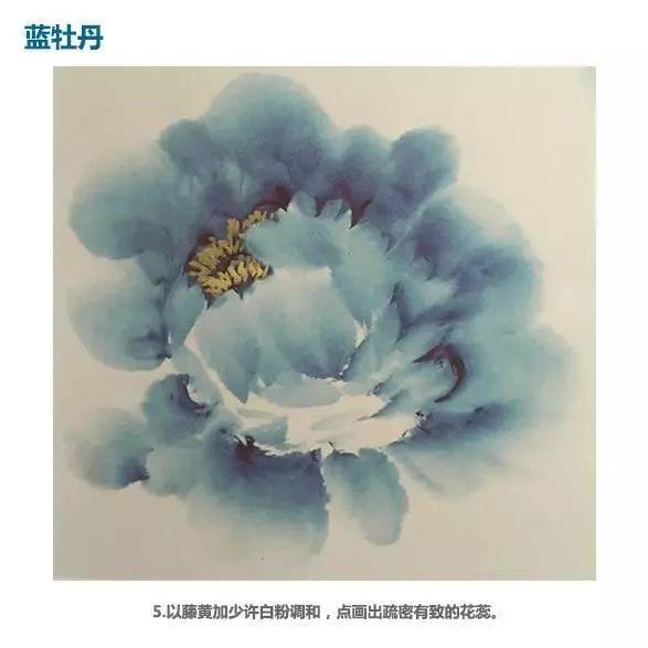 牡丹花头和花叶的三十种画法