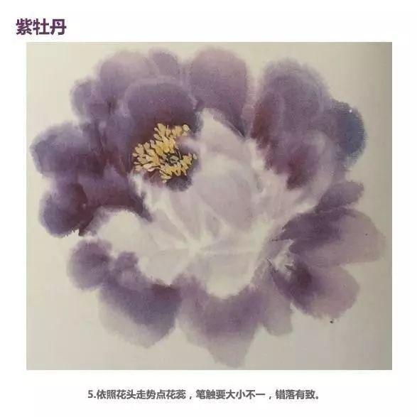 牡丹花头和花叶的三十种画法