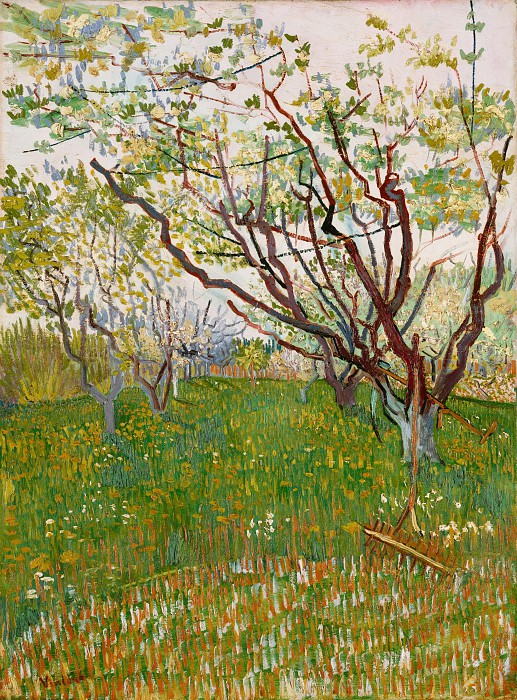 文森特·梵高（Vincent van Gogh）–乌节花 油画高清下载