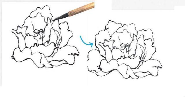 分步骤图解牡丹常用基本画法