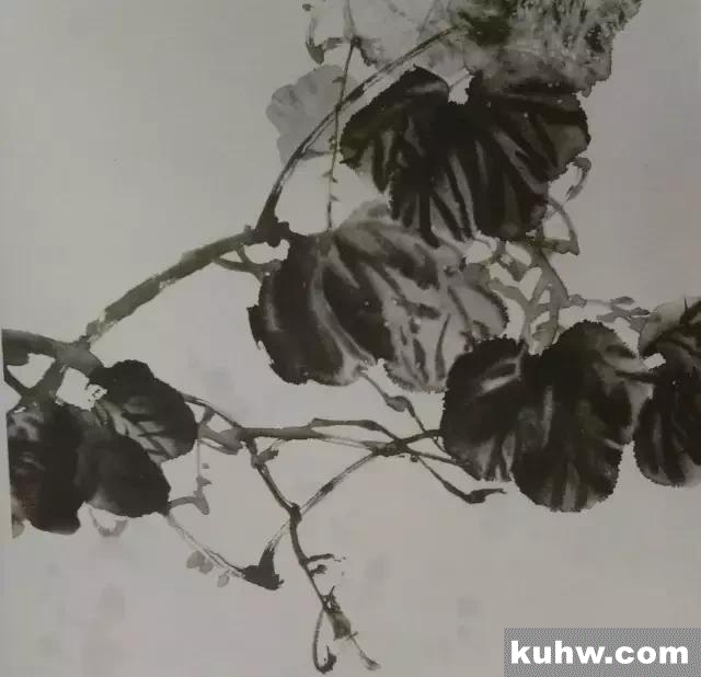 图文教程丨10种花鸟画的画法