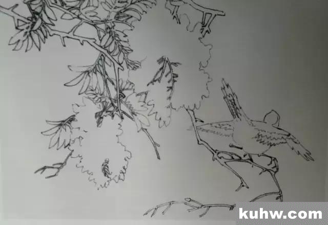 图文教程丨10种花鸟画的画法