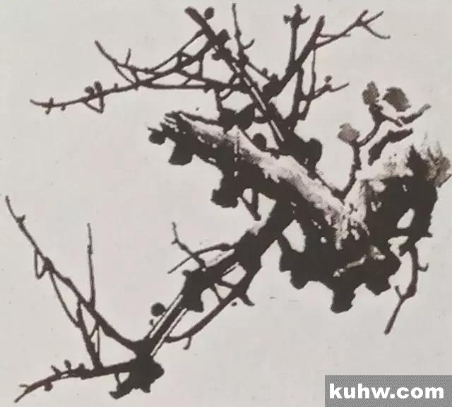 中国画教程，写意梅花技法