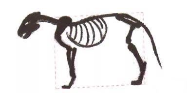 图文教程：写意虎技法