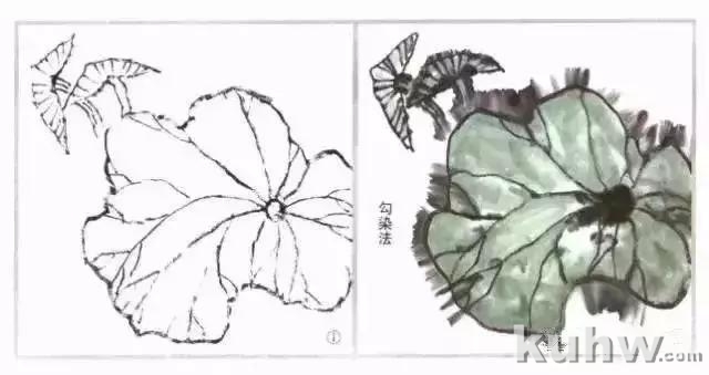 国画荷花《清水出芙蓉》的画法