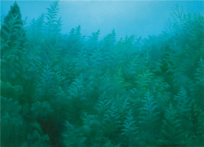 东山魁夷(Kaii Higashiyama)作品-绿色的森林