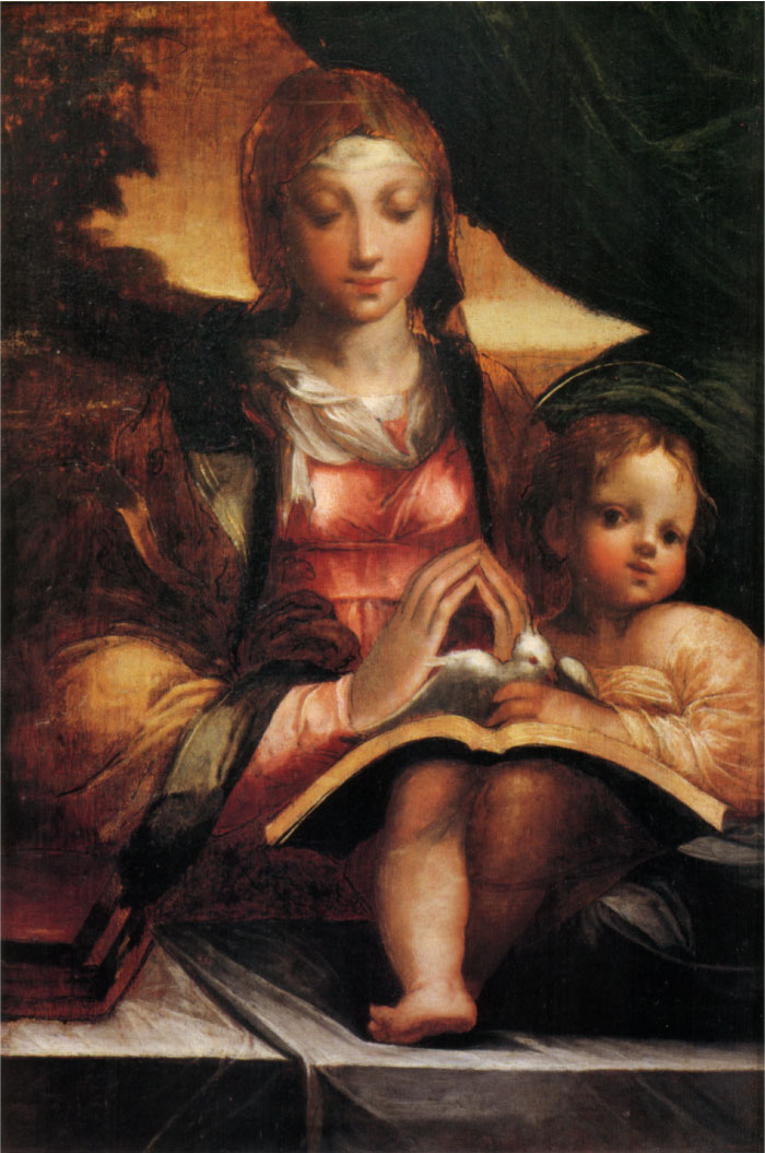 帕米贾尼诺(Parmigianino)作品-玛丹娜·多里亚