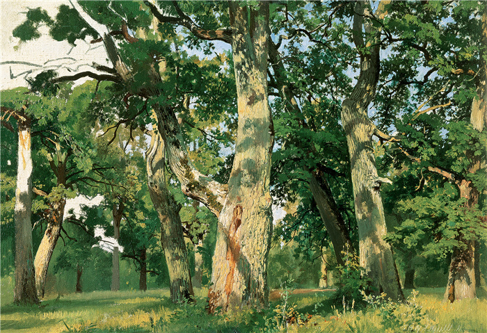 希施金 （Ivan I. Shishkin ） 作品-橡树，傍晚，1887年