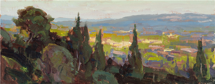 丹尼尔·格哈茨（Daniel Gerhartz）油画作品-葡萄园俯瞰法国南部（研究）