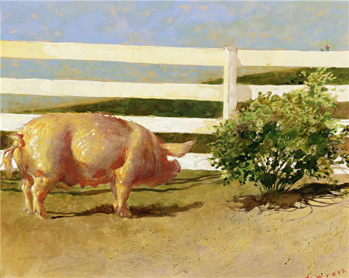 杰米‧怀斯(Jamie Wyeth)油画作品-（22）宝贝简和玫瑰1997年