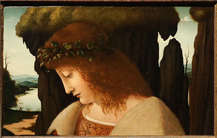 乔凡尼·安东尼奥·博尔特拉菲奥（Giovanni Antonio Boltraffio）作品-《纳西索·阿拉·丰特》