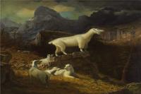 阿尔伯特·<font color='red'>比尔施塔特</font>（Albert Bierstadt）高清油画-Rocky Mountain Goats