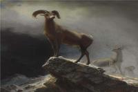 阿尔伯特·<font color='red'>比尔施塔特</font>（Albert Bierstadt）高清油画-Rocky Mountain Sheep